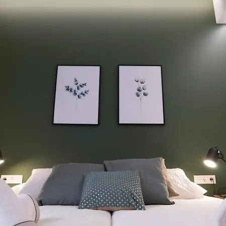 Dos Torres Exclusivos En Calle Alfonso I *